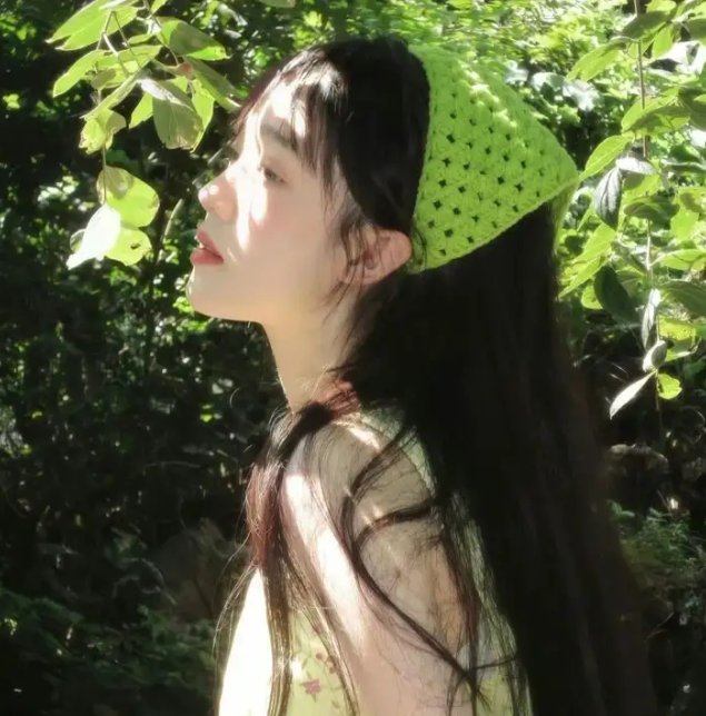 飞蛾日记